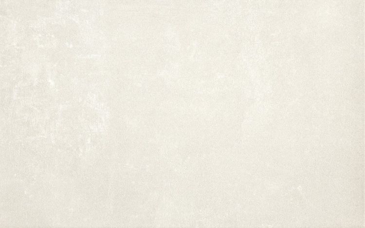 ROAN płytki ścienne White Mate 25x40 (bal=1,6m2)