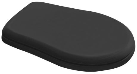 Przejdź do produktu RETRO deska WC, Soft Close, czarny mat/chrom