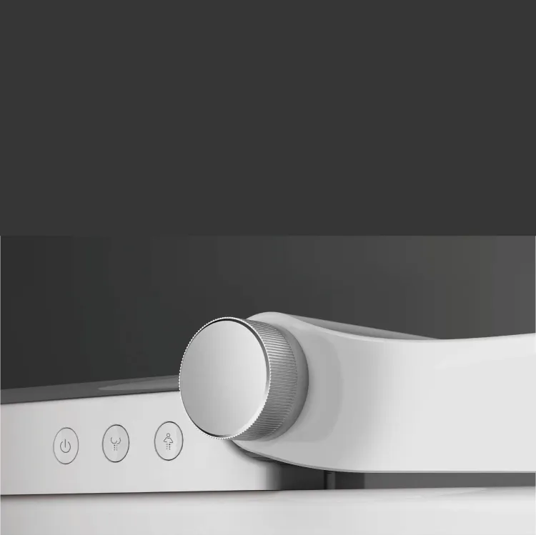 Toaleta myjąca - sterowanie boczne