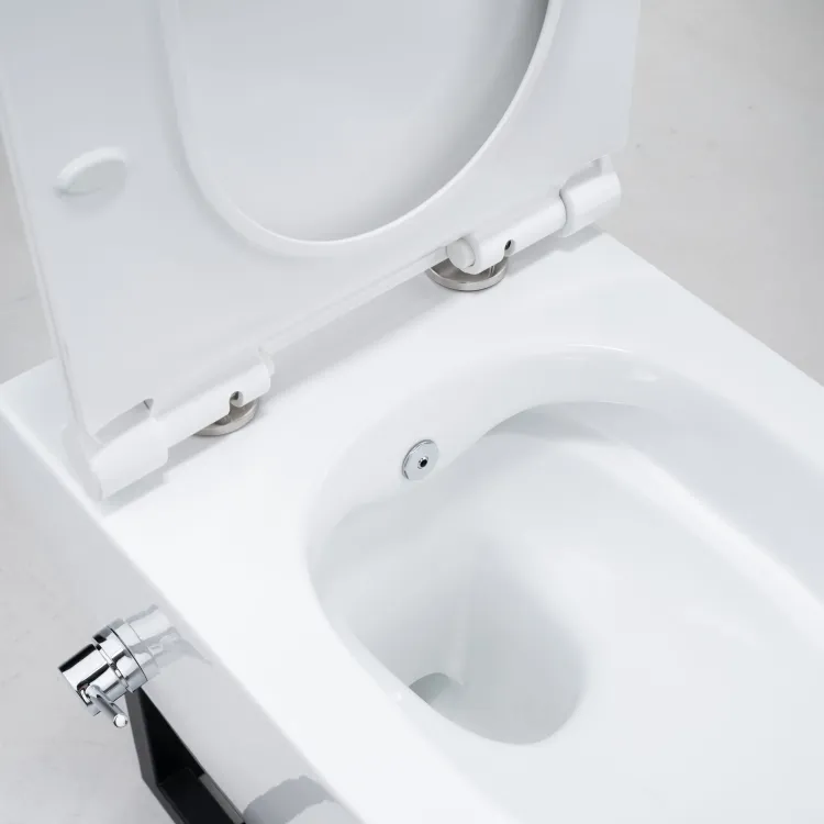 Regulacja strumienia i temperatury wody w funkcji bidetu