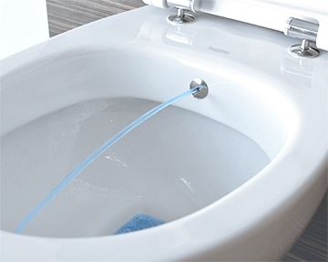 dysza bidet w misce wc.jpg