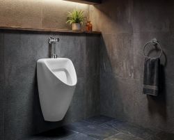 SCHWARN pisuar ceramiczny, z górnym dopływem wody, biały