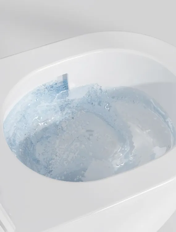 spłukiwanie vortex.jpg