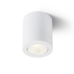 RENDL MAYO R sufitowa wychylna biała 230V LED 9W 36° 2700K