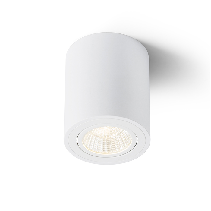 RENDL MAYO R sufitowa wychylna biała 230V LED 9W 36° 2700K