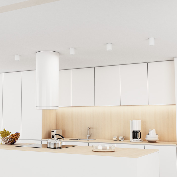 RENDL MAYO R sufitowa wychylna biała 230V LED 9W 36° 2700K
