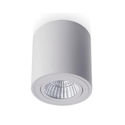 RENDL MAYO R sufitowa wychylna biała 230V LED 9W 36° 2700K