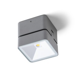 RENDL FLAVIO SQ natynkowa jasno szara 230V LED 6W 110° IP54 3000K