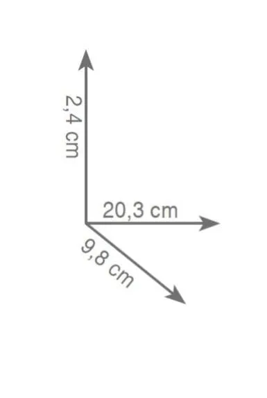 wieszak ring rys.tech.Gedy Lounge