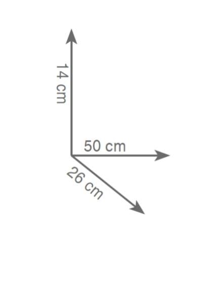 półka 50 cm rys.tech.Gedy Outline