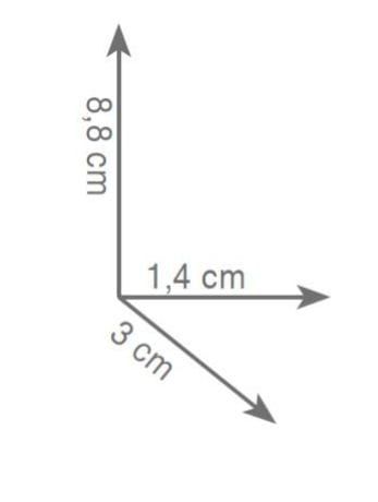 Uchwyt na papier zapas Gedy seria Edera EP24/02 wymiary