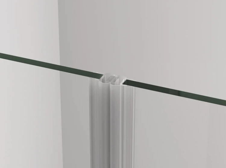 Uszczelka magnetyczna Sanswiss Cadura