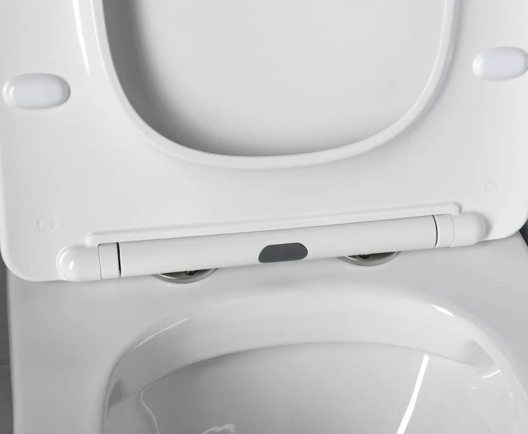 Kompakt WC miska z deską wolnoopadającą i zbiornikiem z mechanizmem spłukującym Paco Rimless Sapho PC1012R