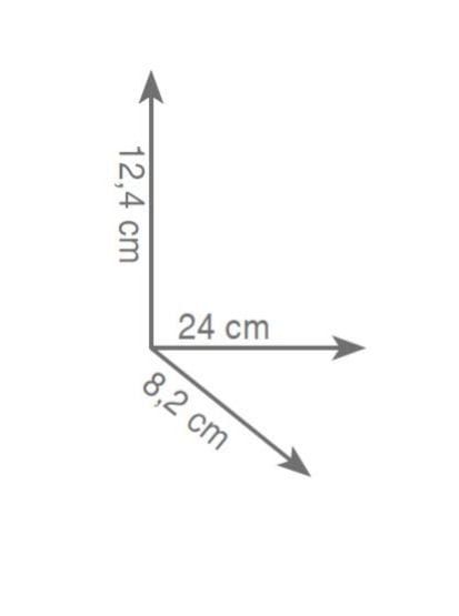 wieszak ring rys.tech.Gedy Glamour