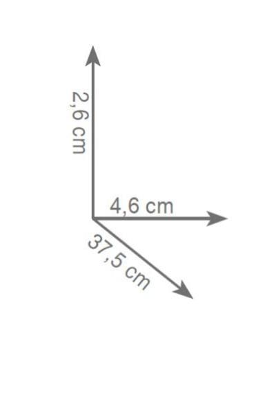 wieszak dwuramienny rys.tech.Gedy Lounge