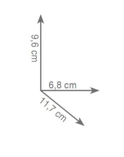 kubek rys.tech.Gedy Kansas