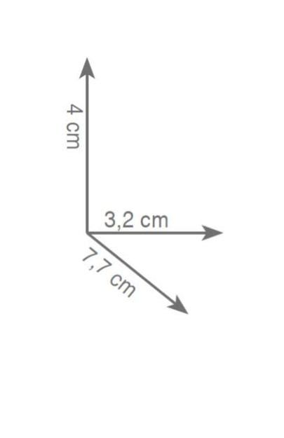 wieszak punktowy podwójny rys.tech.Gedy Glamour